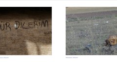 resim